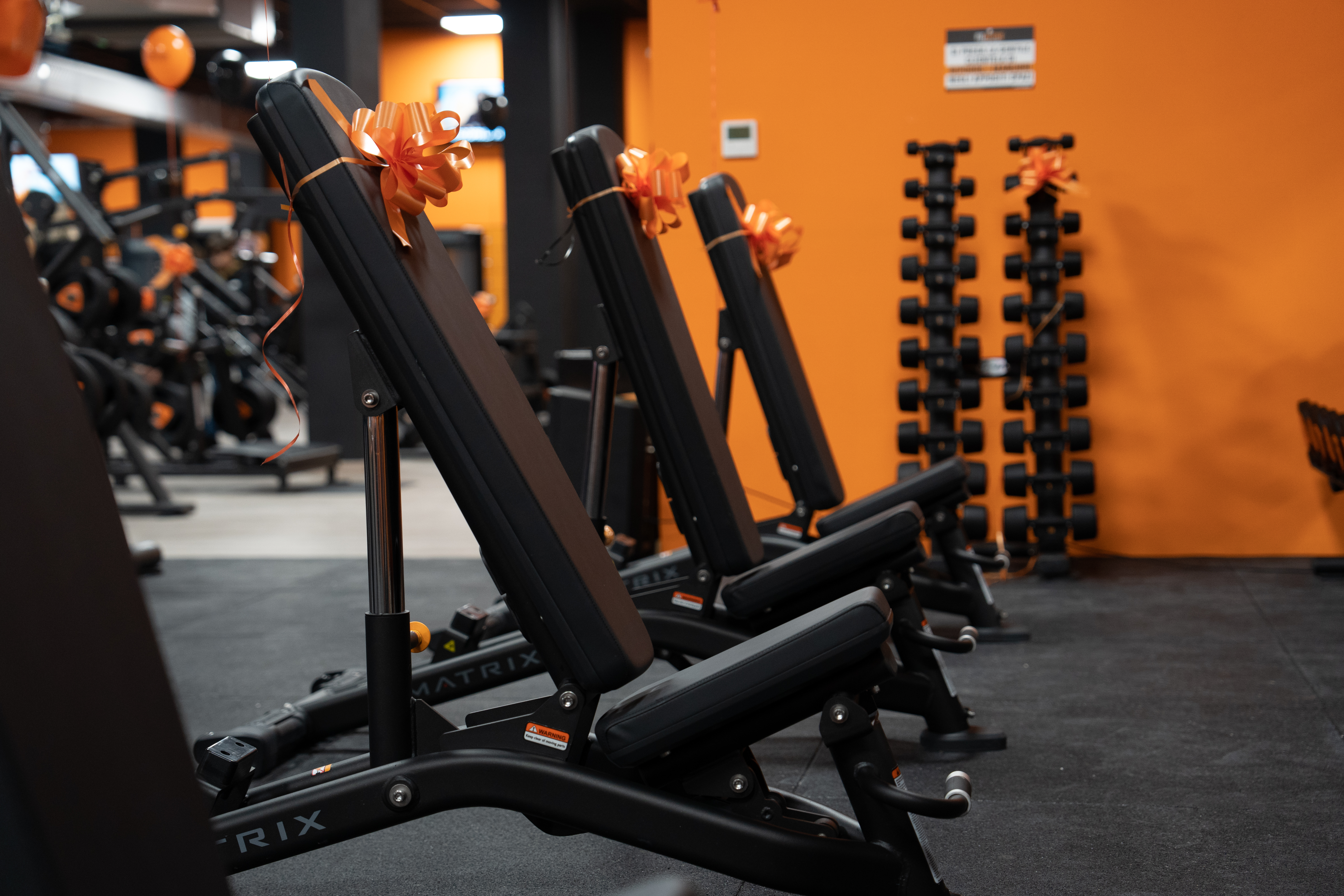 FitActive Cormano